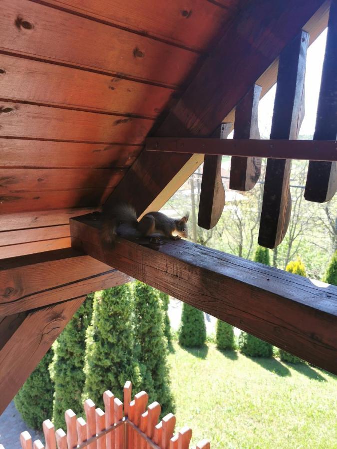 Sókristály Vendégház Demjén Esterno foto